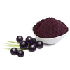 Acai Berry Extract Powder