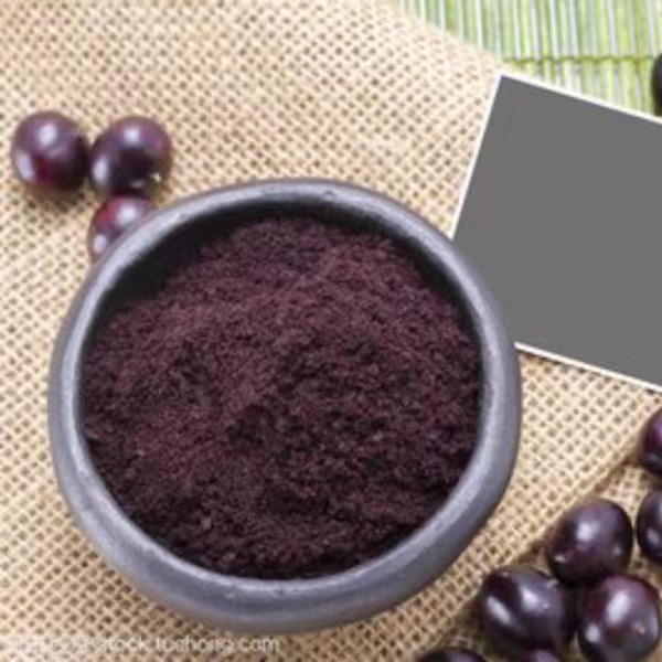 Acai Berryフリーズドライパウダー